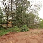 Estragos devido ao Temporal