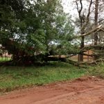 Estragos devido ao Temporal