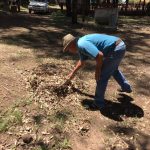 Mutirão de limpeza e embelezamento na Praia e Camping Rainha do Sol