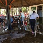 Mutirão de limpeza e embelezamento na Praia e Camping Rainha do Sol